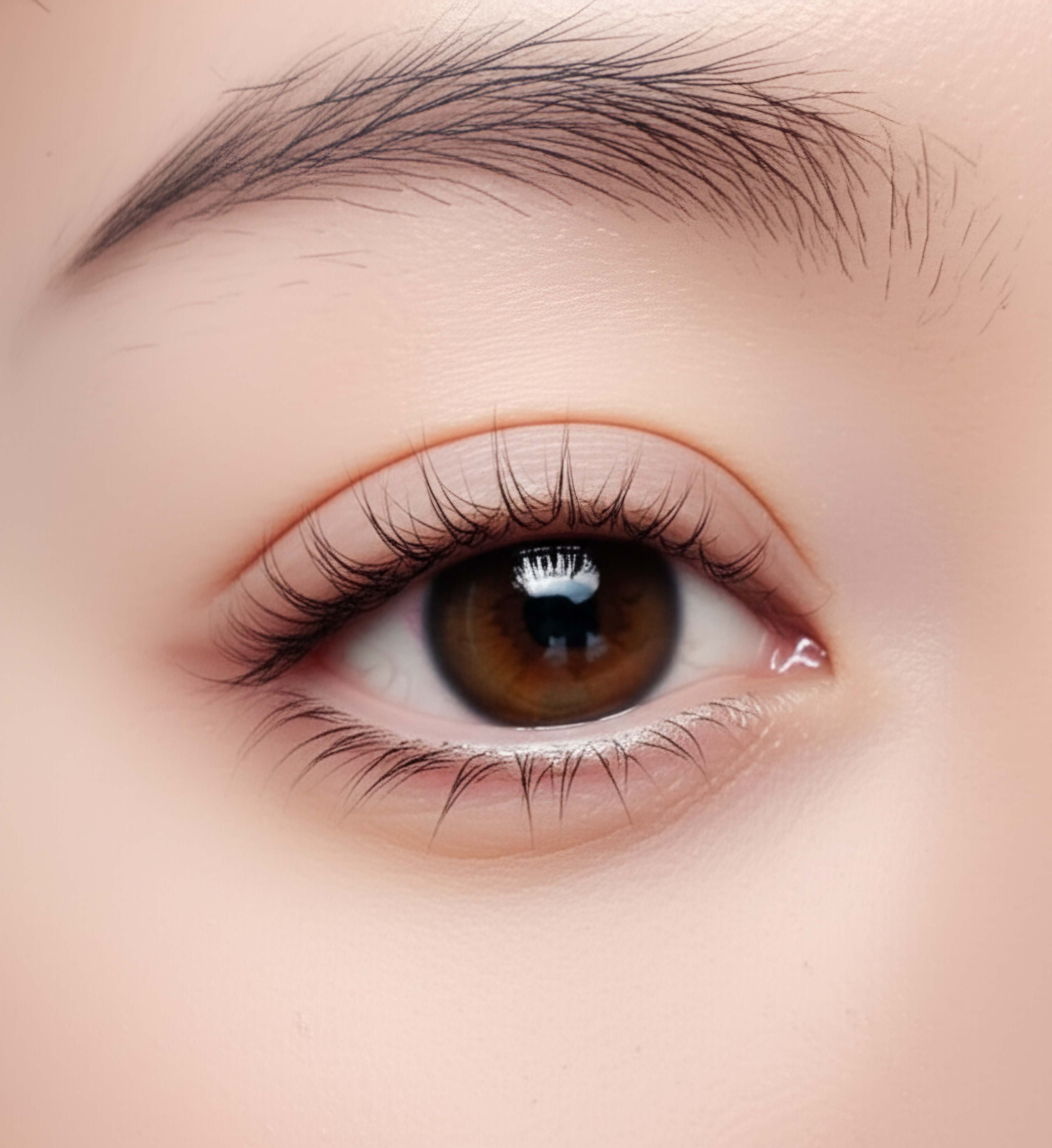 Eyelash Lift Service